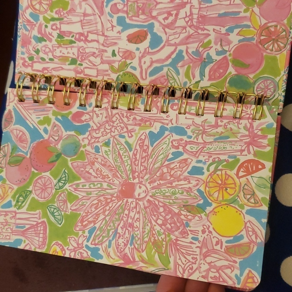 Lilly Pelzer planner - Picture 11 of 12